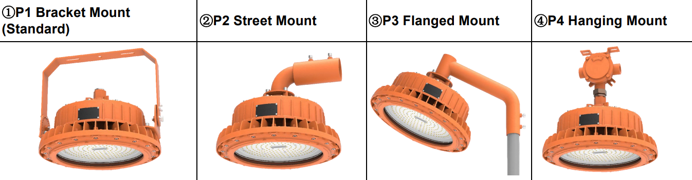 Intrinsically Safe Rokee EP-02-G2 Explosion | Flame Proof Lighting - Image 7