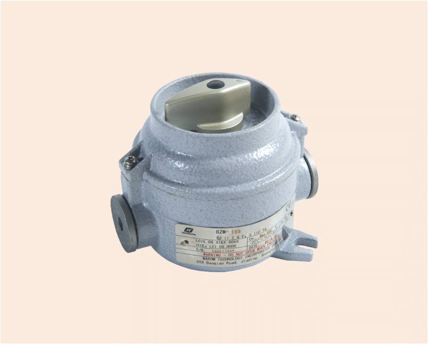 Explosion proof switch